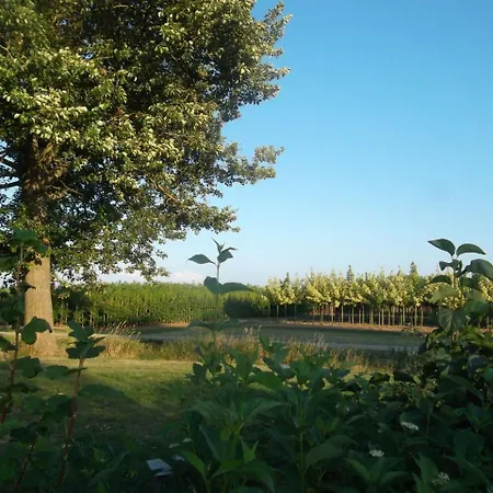 Holiday Vakantiehuisjes De Betuwe 4 Kesteren